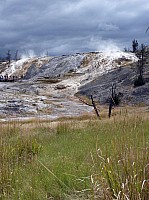 Yellowstone Mammoth Hotsprings (93).JPG